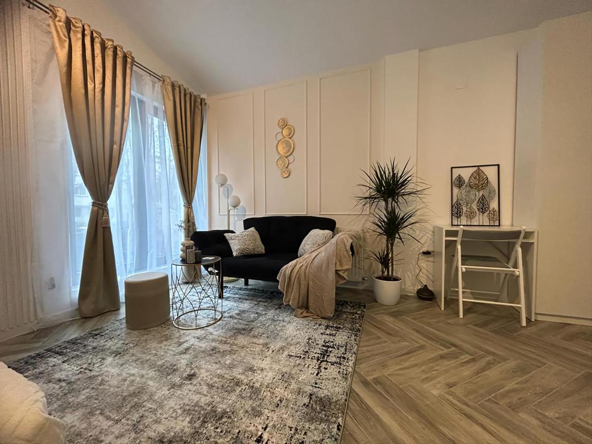 ブカレストLuxury Mansionアパートメント エクステリア 写真