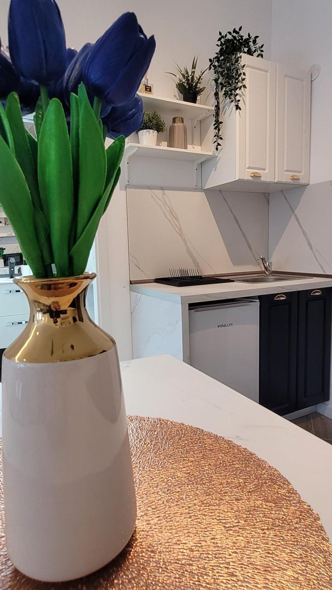 ブカレストLuxury Mansionアパートメント エクステリア 写真